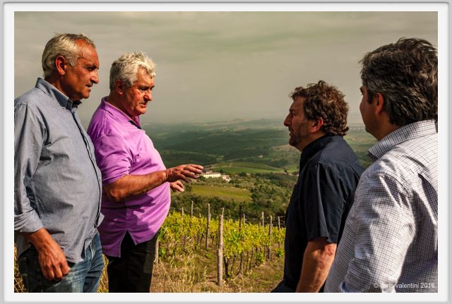 tenuta_di_arceno1354