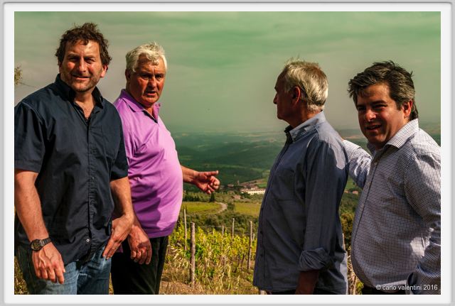 tenuta_di_arceno1358