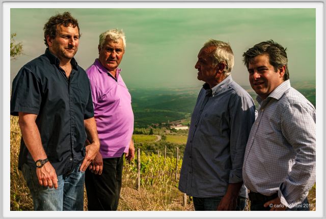 tenuta_di_arceno1359