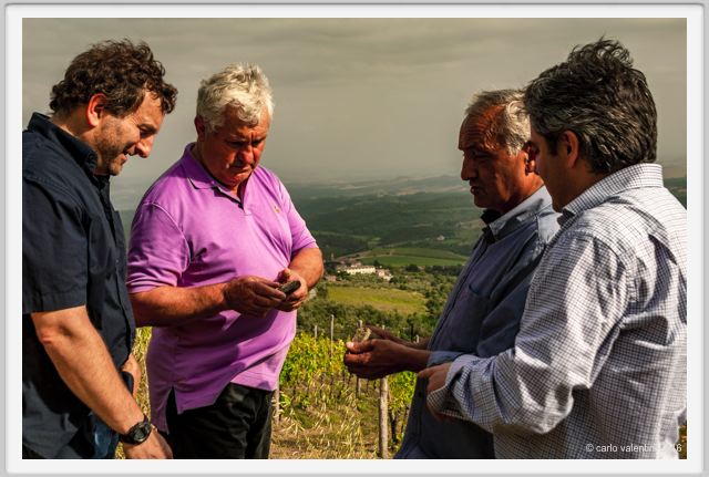 tenuta_di_arceno1370