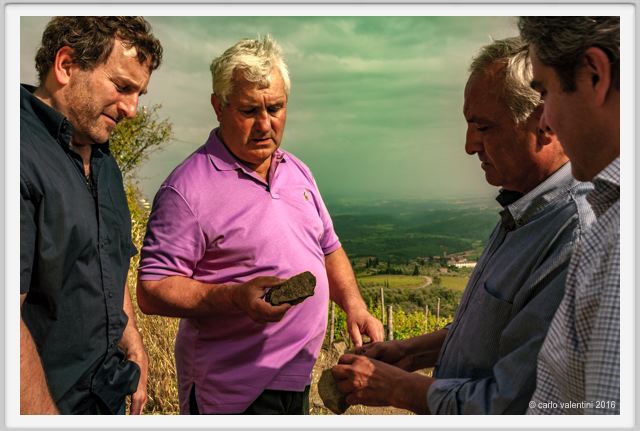 tenuta_di_arceno1372