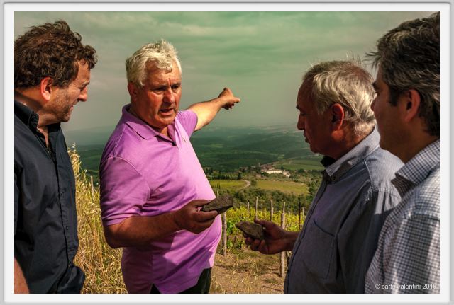 tenuta_di_arceno1375