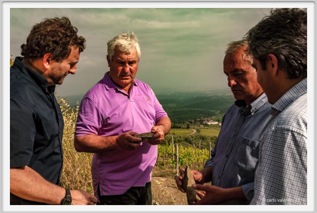 tenuta_di_arceno1378