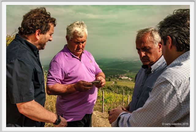 tenuta_di_arceno1380