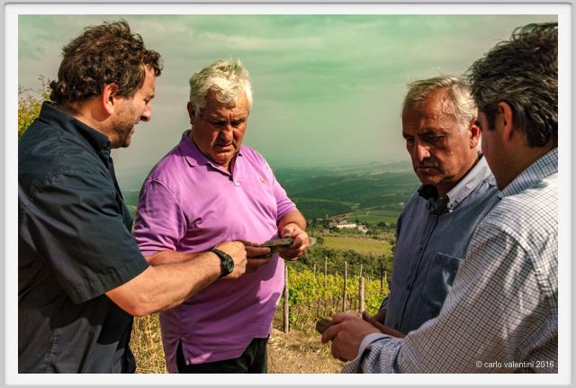 tenuta_di_arceno1381