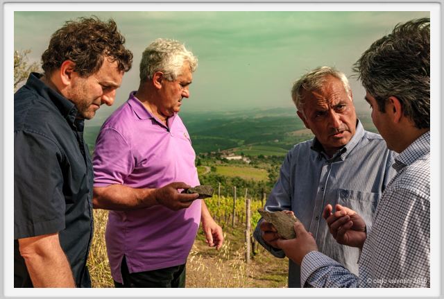 tenuta_di_arceno1382