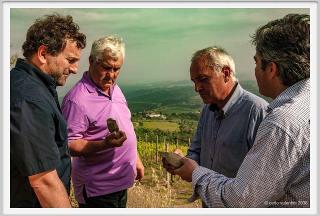 tenuta_di_arceno1384