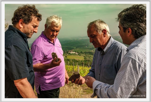 tenuta_di_arceno1389