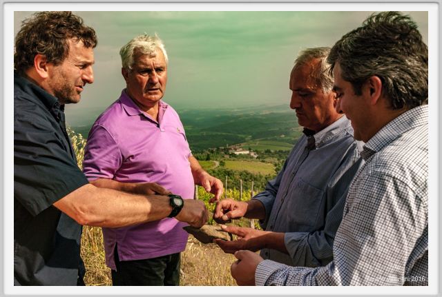 tenuta_di_arceno1393