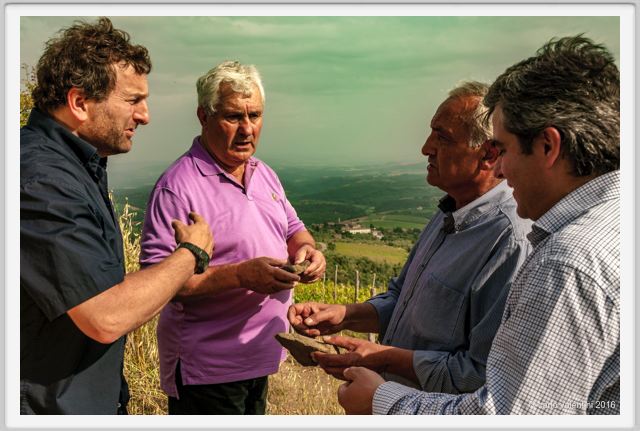 tenuta_di_arceno1405