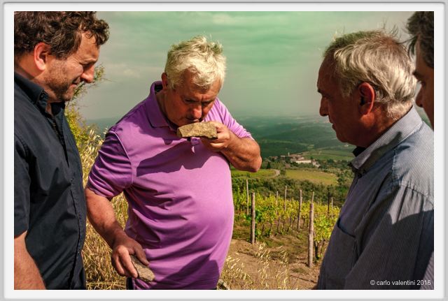 tenuta_di_arceno1407