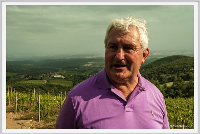 tenuta_di_arceno1413