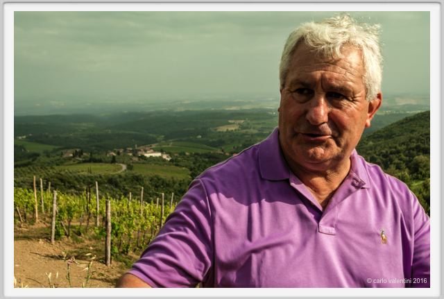 tenuta_di_arceno1418