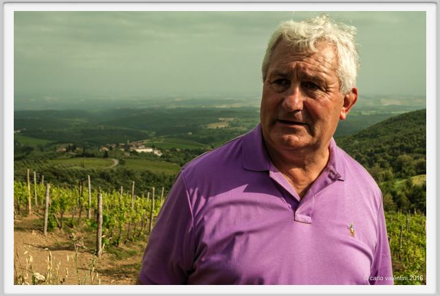 tenuta_di_arceno1422