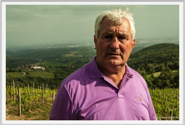 tenuta_di_arceno1425