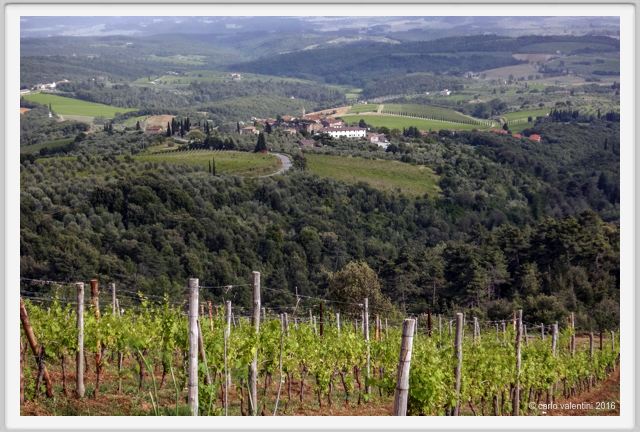 tenuta_di_arceno1344