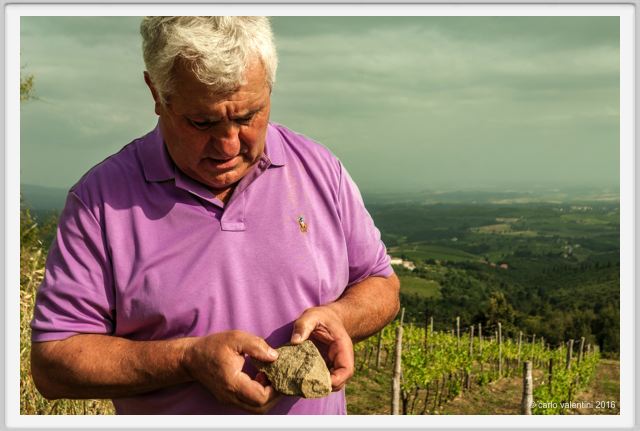 tenuta_di_arceno1431