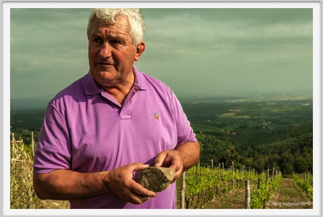 tenuta_di_arceno1433