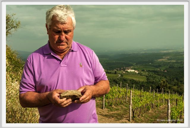 tenuta_di_arceno1440