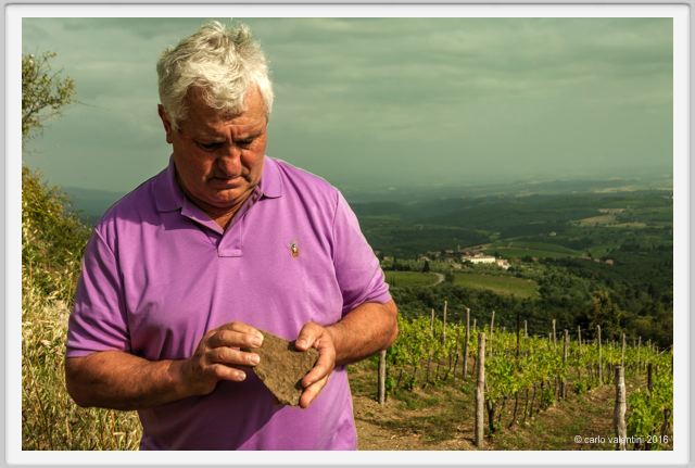 tenuta_di_arceno1441