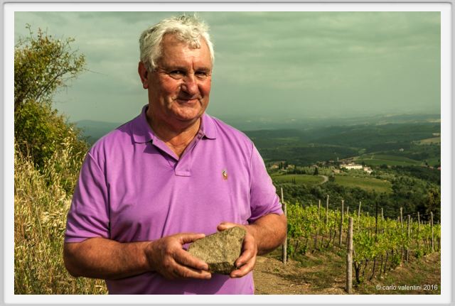 tenuta_di_arceno1448