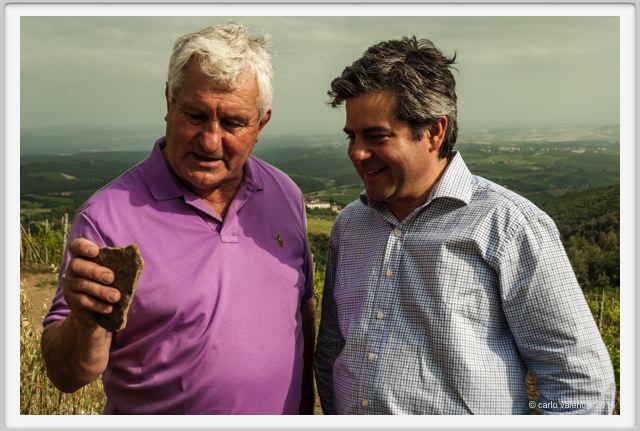 tenuta_di_arceno1451