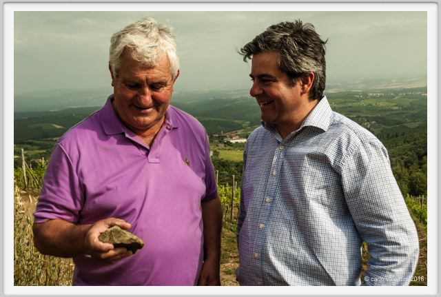 tenuta_di_arceno1454