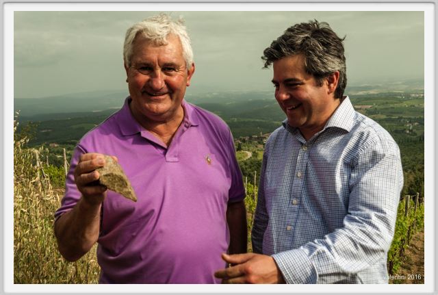 tenuta_di_arceno1458