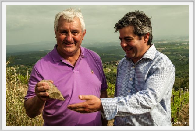 tenuta_di_arceno1462