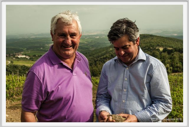 tenuta_di_arceno1466