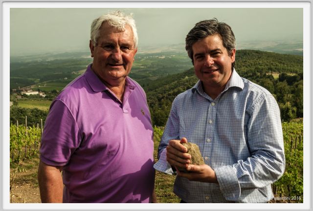 tenuta_di_arceno1468