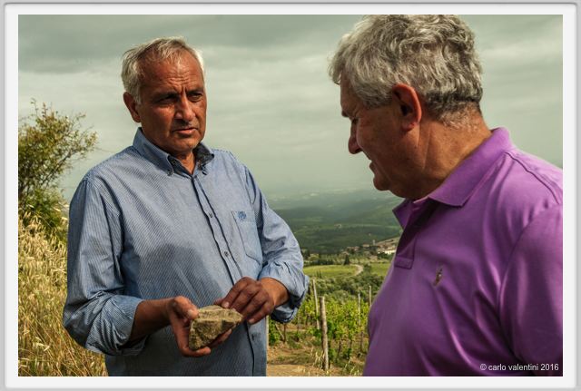 tenuta_di_arceno1472