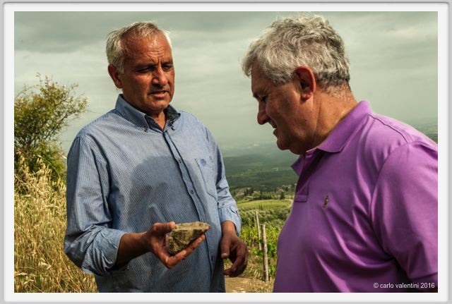 tenuta_di_arceno1474