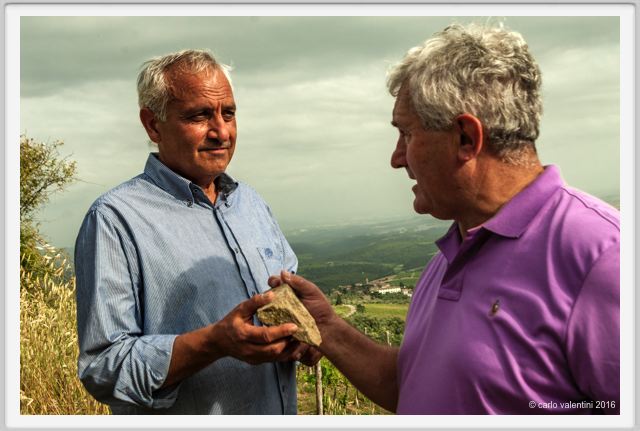 tenuta_di_arceno1475