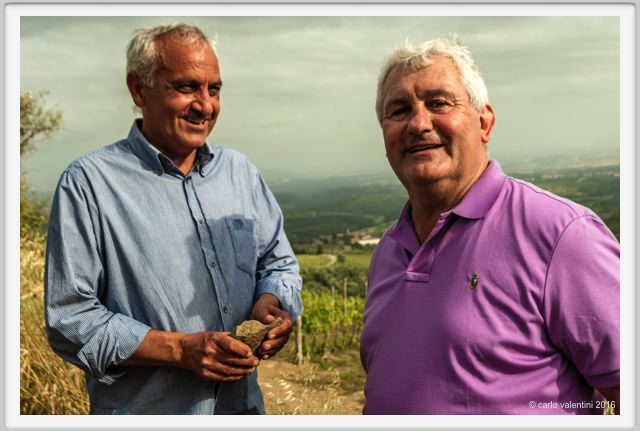 tenuta_di_arceno1482