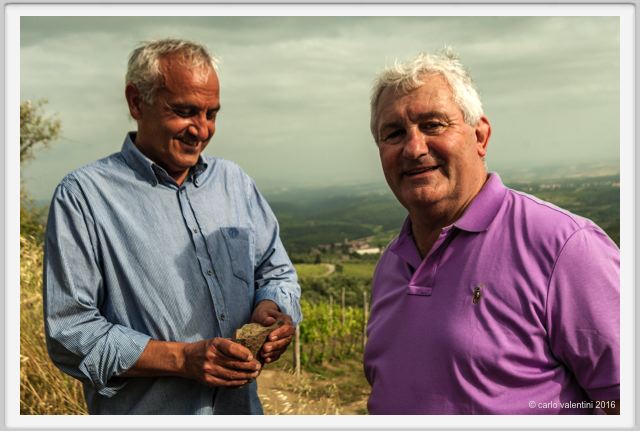 tenuta_di_arceno1484