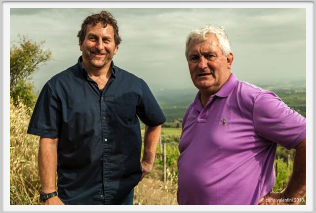 tenuta_di_arceno1488