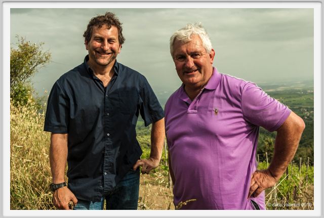 tenuta_di_arceno1497