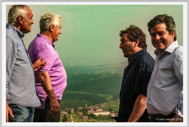 tenuta_di_arceno1348