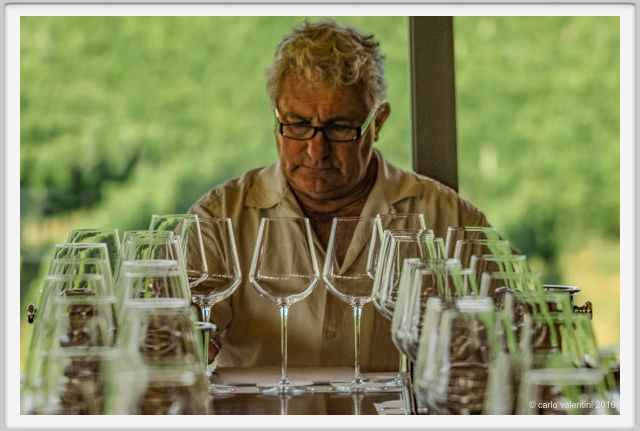 tenuta_di_arceno1939