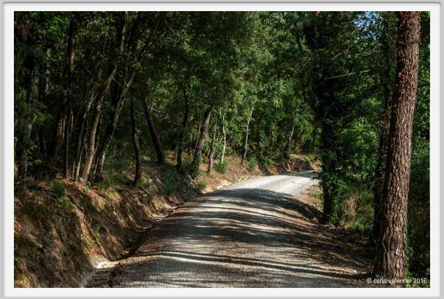 tenuta_di_arceno1827