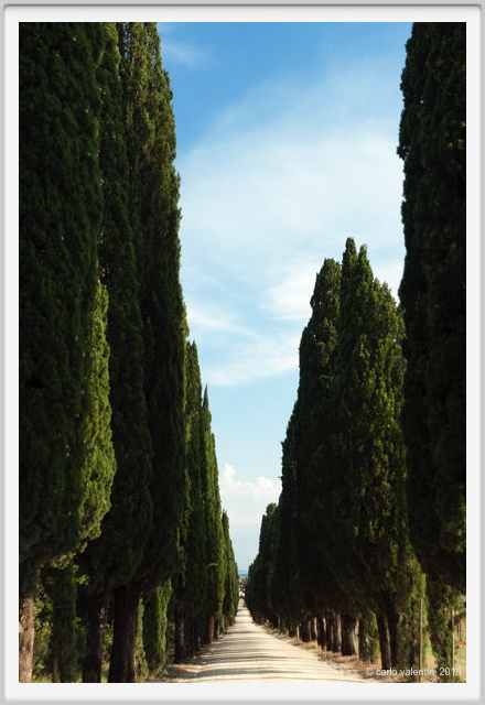 tenuta_di_arceno1844