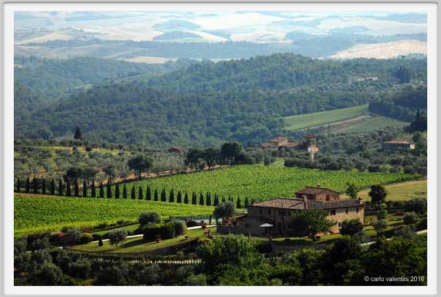 tenuta_di_arceno1858