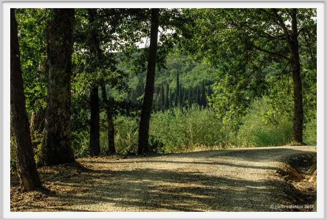 tenuta_di_arceno1866