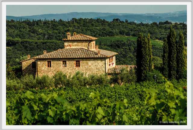 tenuta_di_arceno1875