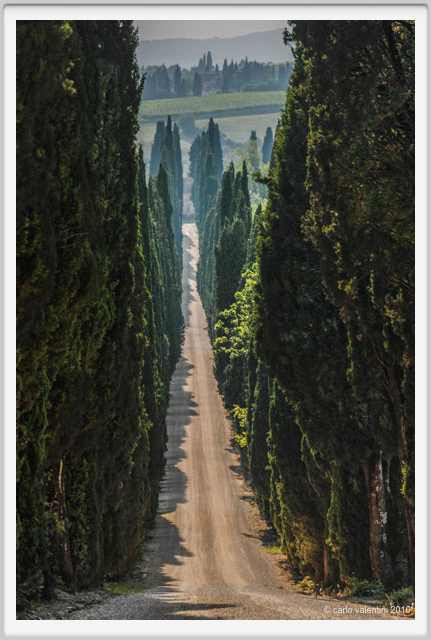 tenuta_di_arceno1892