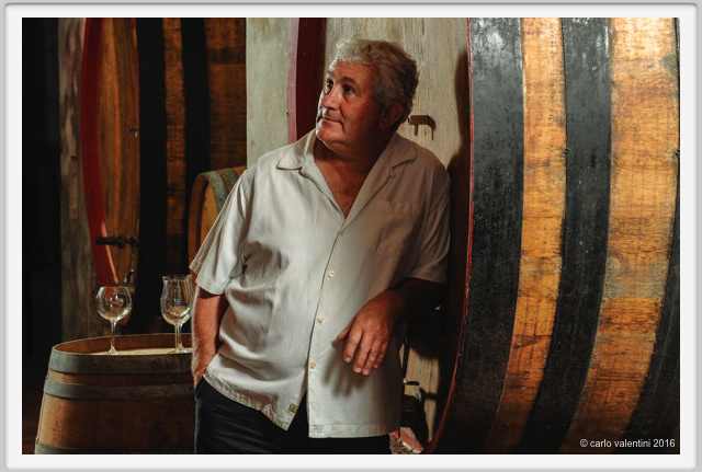 tenuta_di_arceno1898