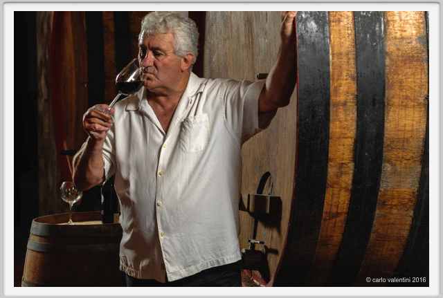 tenuta_di_arceno1900