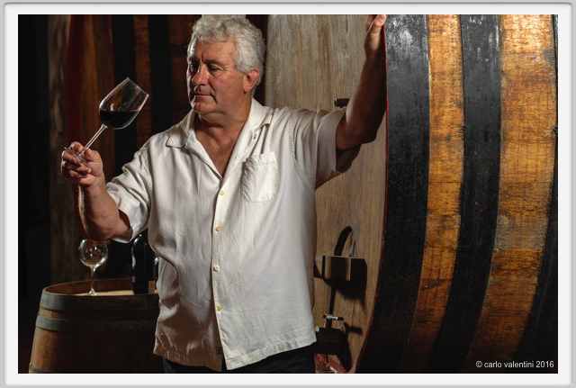 tenuta_di_arceno1901