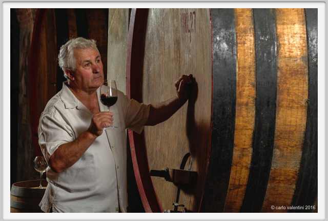 tenuta_di_arceno1902